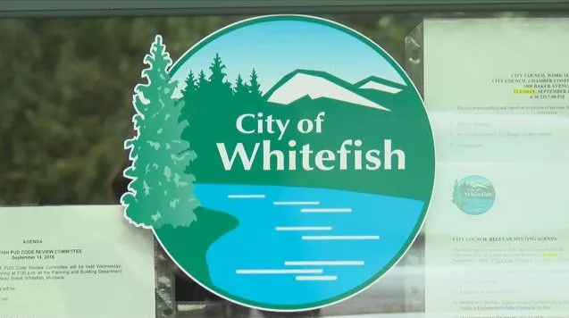 Whitefish