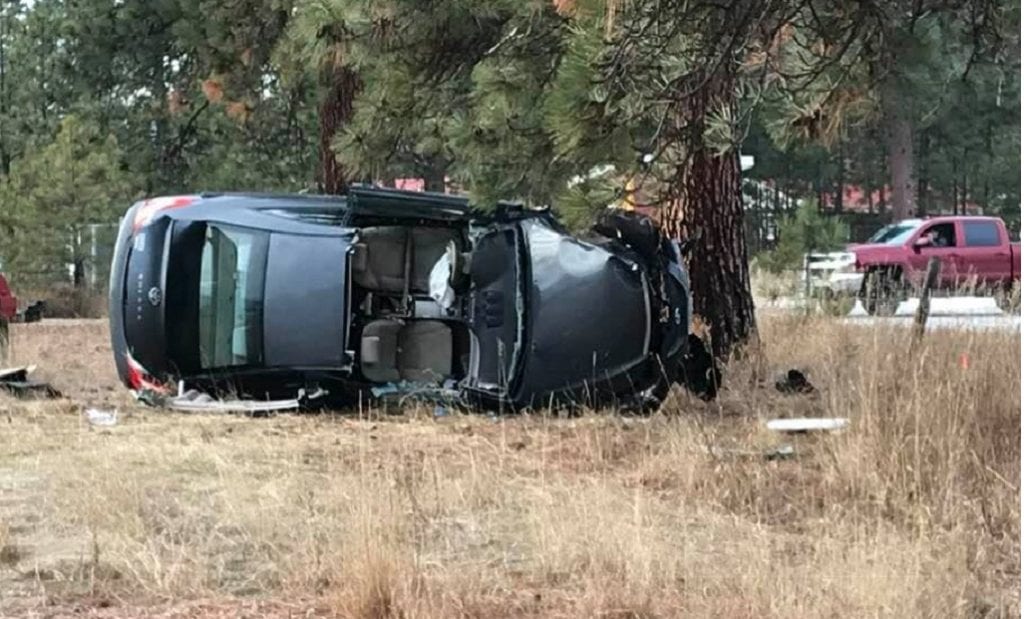 Florence Tree Crash