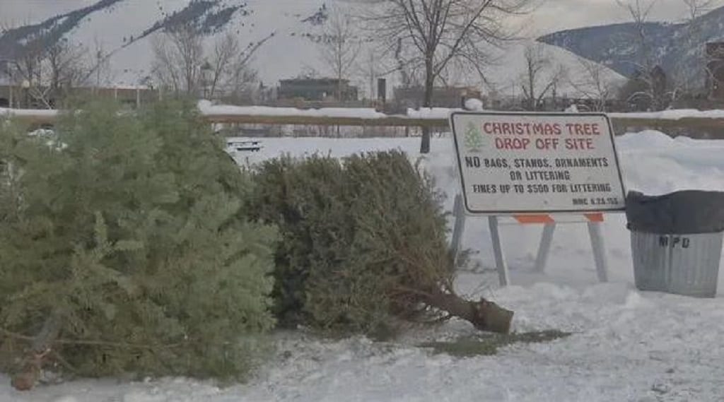 Christmas Tree recycling starts up in Missoula
