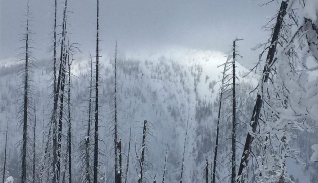 Avalanche Danger Saddle Peak