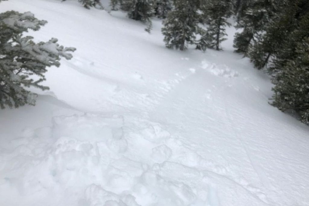 Avalanche Danger 1.18.19