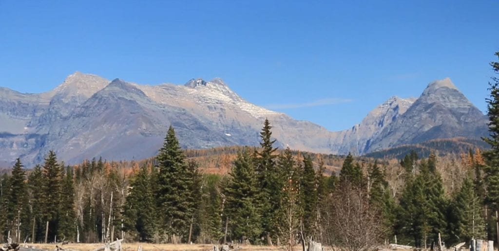 Flathead National Forest