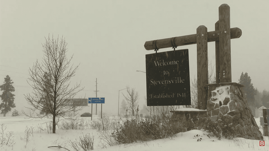 Snowy Stevensville